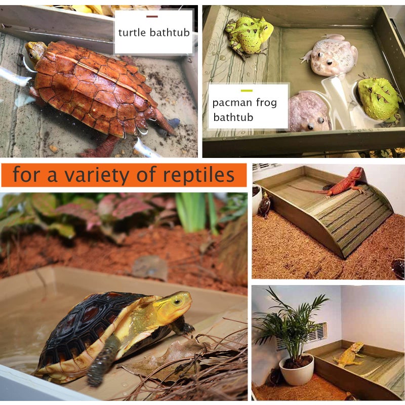 XDONEF 3pcs Tortoise Food Dish with Ramp and Basking Platform Leaf Tortoise Water Food Bowls Reptile Water Dish Turtle Reptile Pool for Amphibians Gray - Image 2